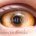 Werewolf – hand-painted custom contact lens | Samhain Contact Lenses