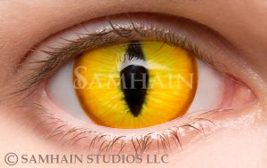 Geralt – hand-painted custom contact lens | Samhain Contact Lenses