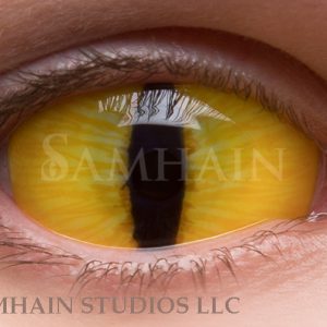 Featured image of post Shinigami Eyes Contacts shiki f jin shinigami