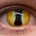 Raistlin Majere – hand-painted custom contact lens | Samhain Contact Lenses