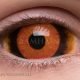 Primate – hand-painted custom contact lens | Samhain Contact Lenses