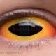 Bossk – hand-painted custom contact lens | Samhain Contact Lenses