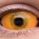 Creature X – hand-painted custom contact lens | Samhain Contact Lenses