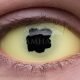 Unity – hand-painted custom contact lens | Samhain Contact Lenses