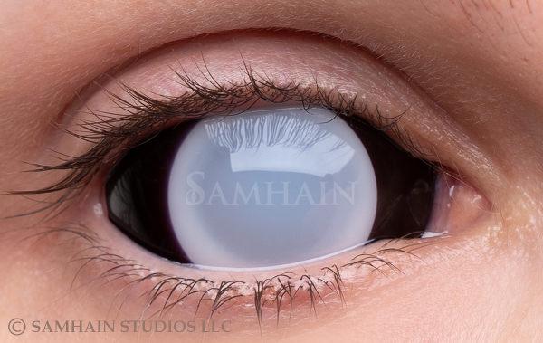 Whiteout Sclera 2 [Single Lens] Samhain Contact Lenses