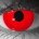 Red Vampire – hand-painted custom contact lens | Samhain Contact Lenses