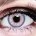 Bella Violet Rose – hand-painted custom contact lens | Samhain Contact Lenses