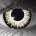 Zombie Undead – hand-painted custom contact lens | Samhain Contact Lenses