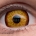 Witcher – hand-painted custom contact lens | Samhain Contact Lenses